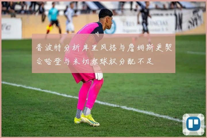 香波特分析库里风格与詹姆斯更契合哈登与米切尔球权分配不足
