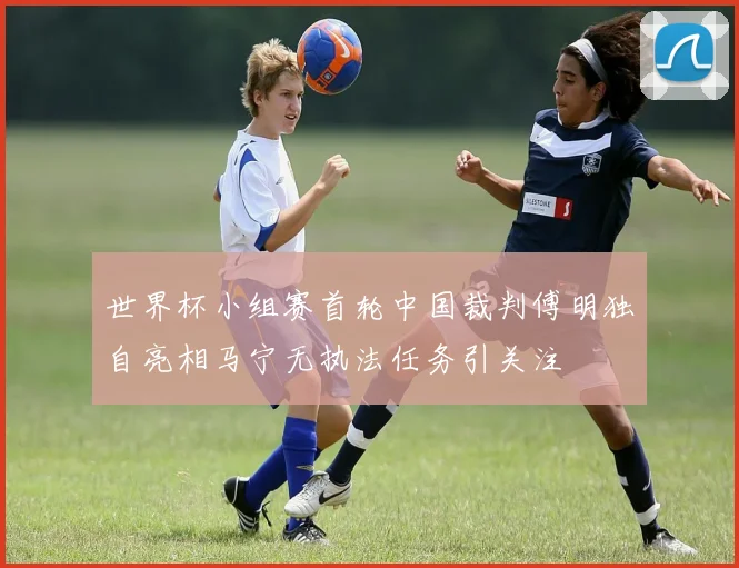 世界杯小组赛首轮中国裁判傅明独自亮相马宁无执法任务引关注